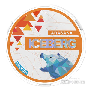 Iceberg Arasaka