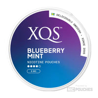 XQS Blueberry Mint
