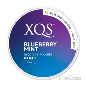 XQS Blueberry Mint