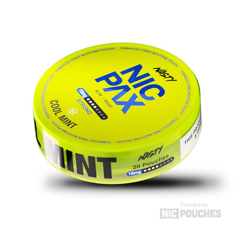 Nasty Nicpax Cool Mint