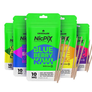 NicPix Fruit Fusion Toothpicks Bundle (10-Pack)
